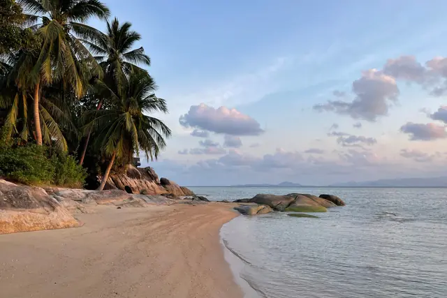 Leaning coconut palms over a quiet sandy cove at dusk