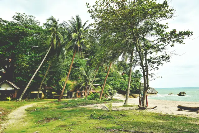 Palmiers et cabanes sur une plage tranquille de Koh Phangan