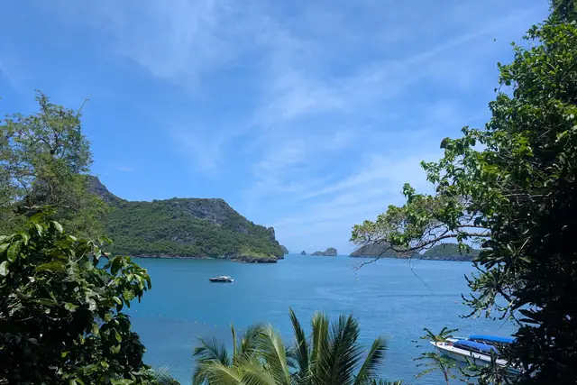Îles boisées et baie calme encadrées par la végétation tropicale