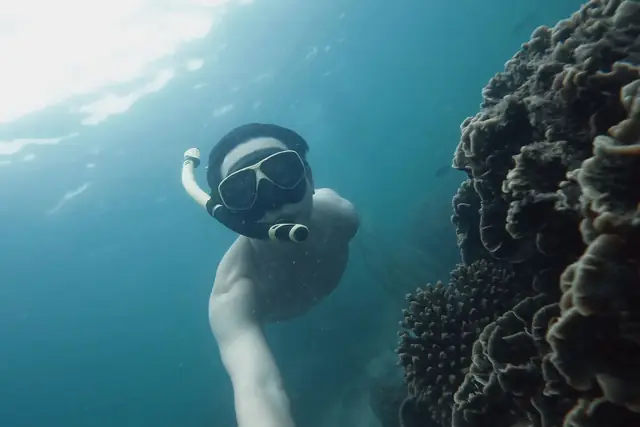 A snorkeler swimming beside a coral wall in clear water